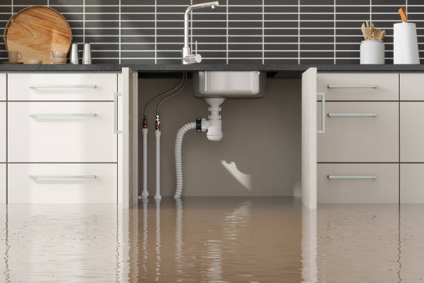 Best Emergency water damage restoration  in Fairfield Glade, TN