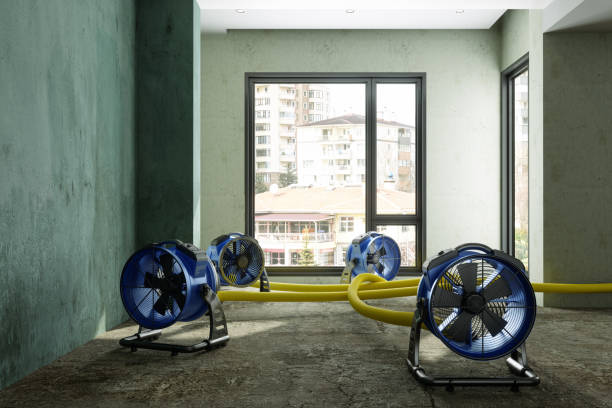 Best Ceiling water damage repair  in Fairfield Glade, TN